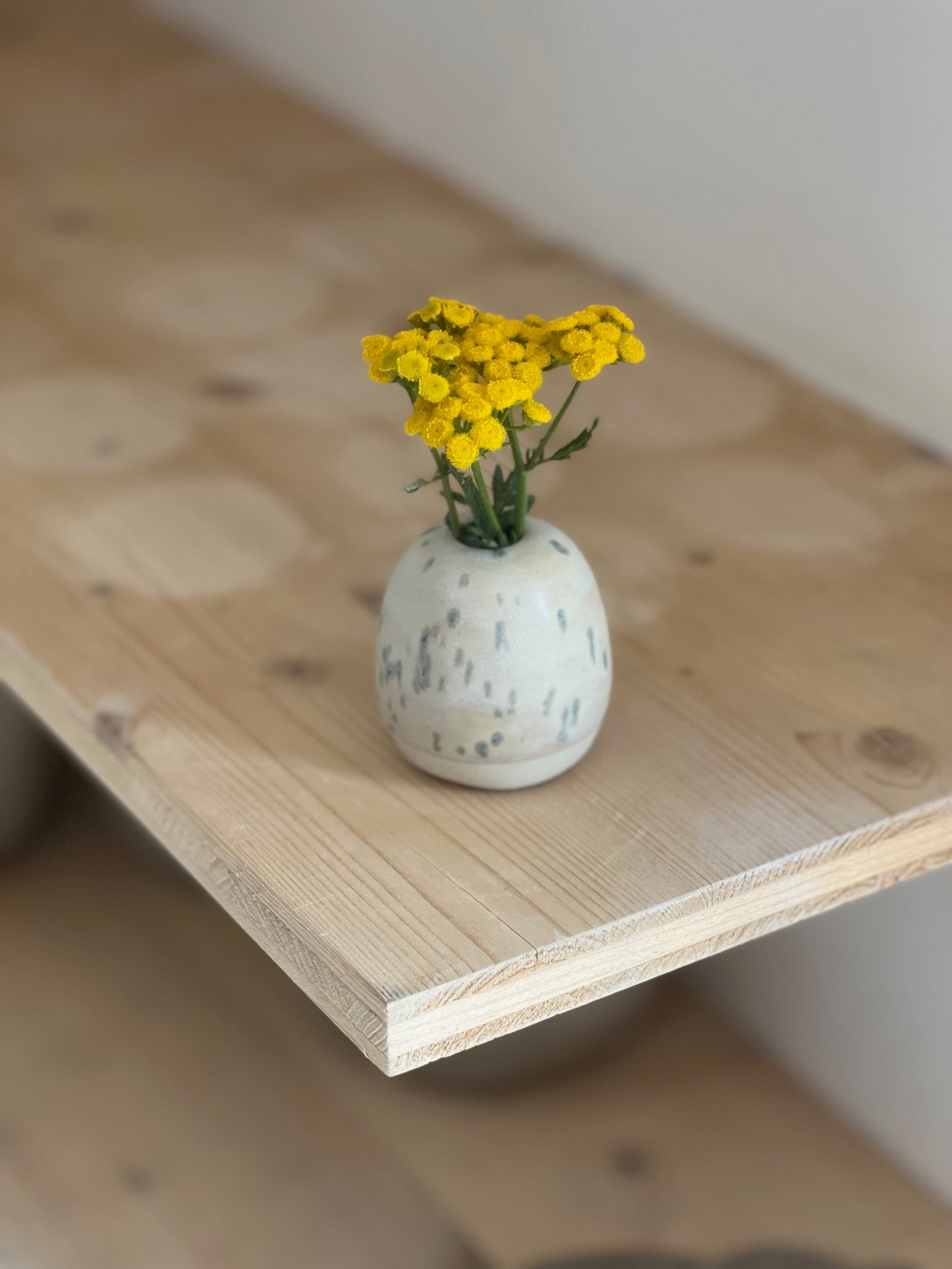 Mini vases